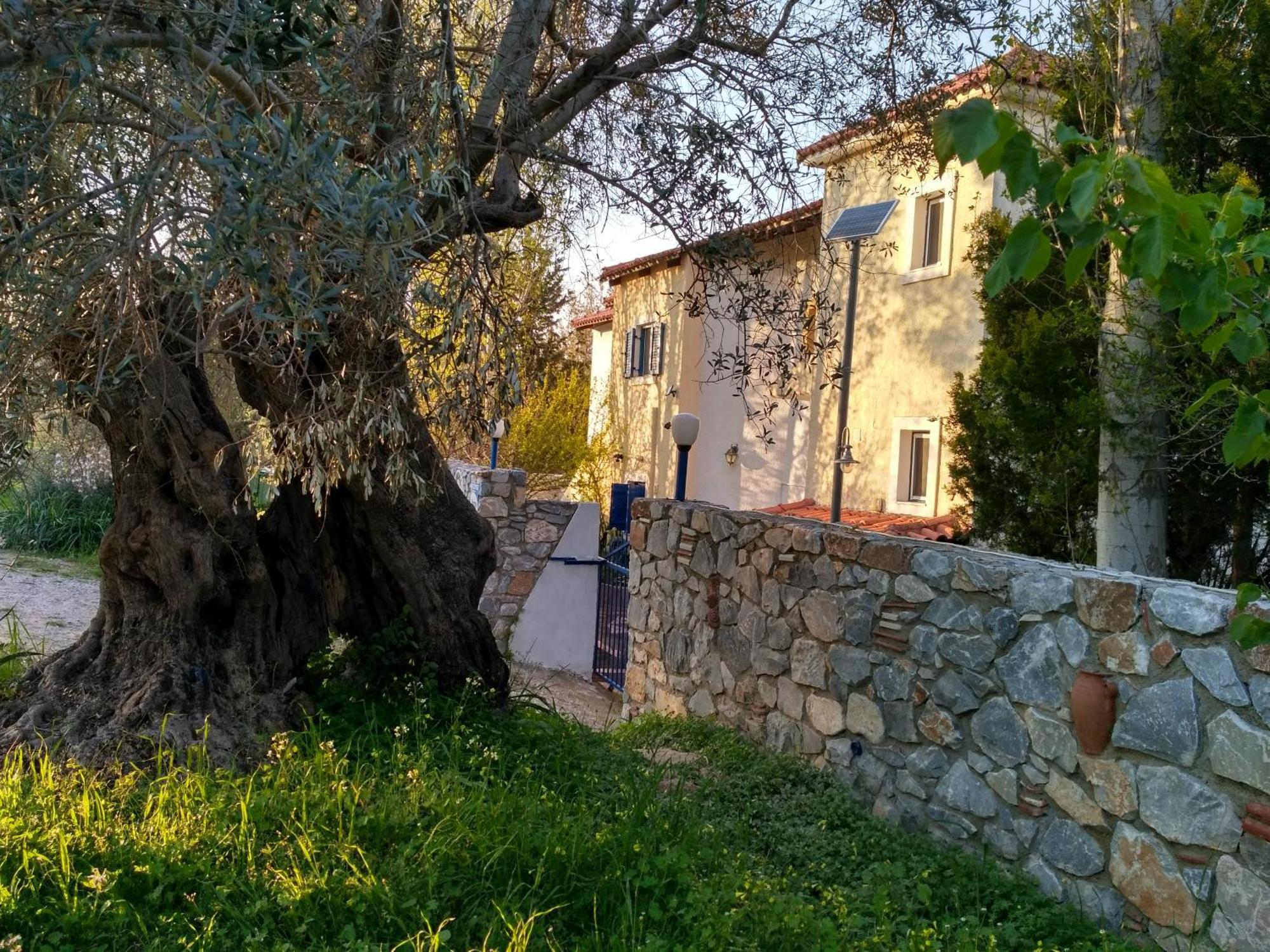 9 Musses Hotel Apartments Skala Mistegnon Exterior photo